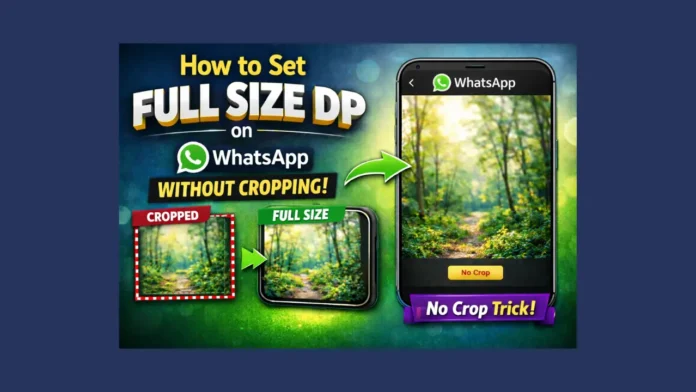 How to set full size DP on WhatsApp without cropping using no crop method